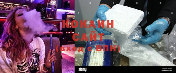 кокс Арсеньев